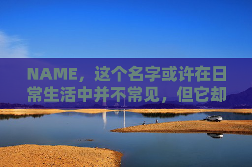 NAME，这个名字或许在日常生活中并不常见，但它却在某些领域里扮演着重要的角色。今天，让我们一起来探索这个名字背后的故事和意义